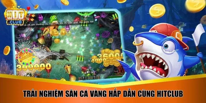 Trải nghiệm săn cá vàng hấp dẫn cùng Hitclub